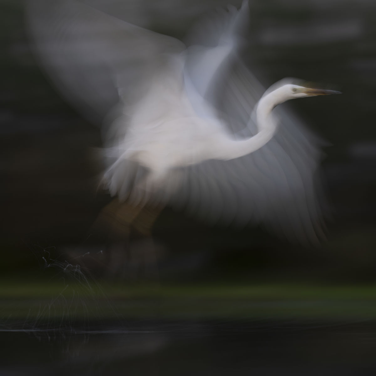 Szentkirályi Ádám