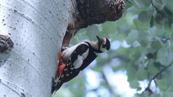 Odú kész_végre pihenhetek
