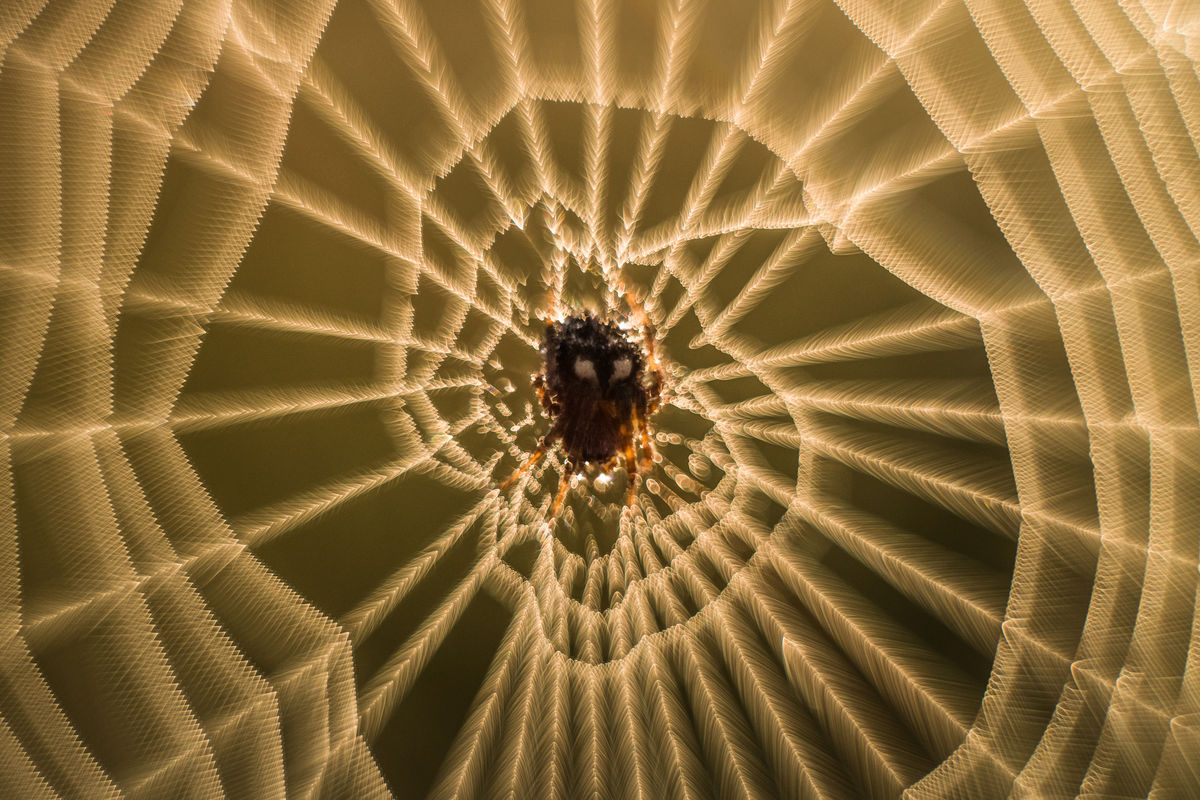 Szakolczai Krisztina