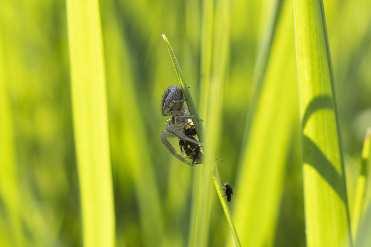 Seres Ádám Zoltán