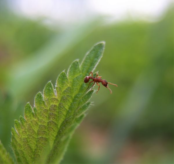 Hú....de magasan vagyok!