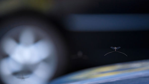 Poláros fényszennyezés