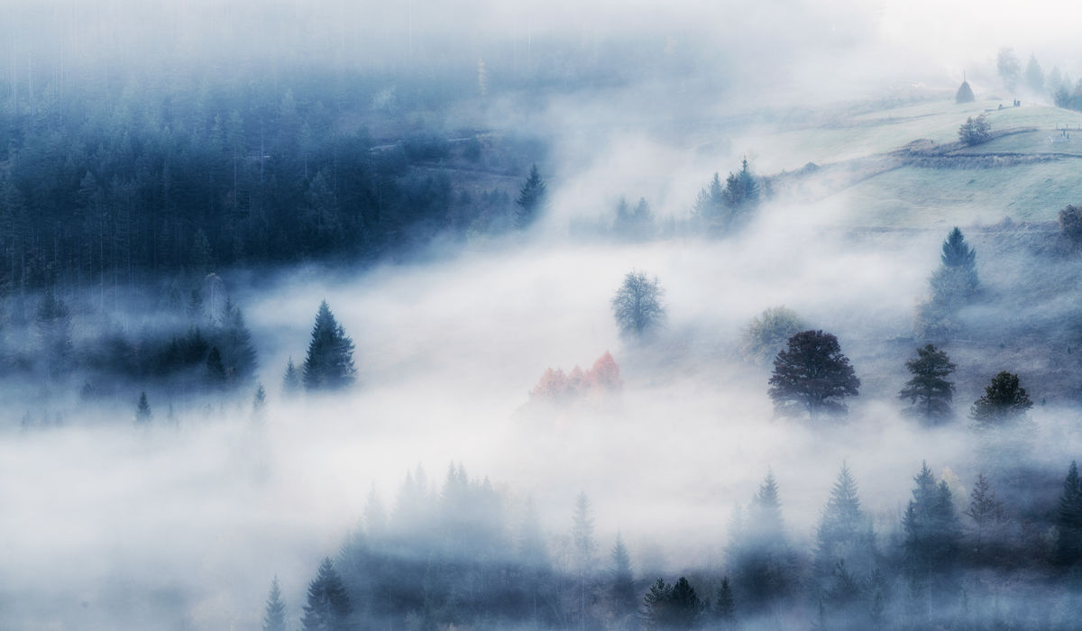 Szakolczai Krisztina