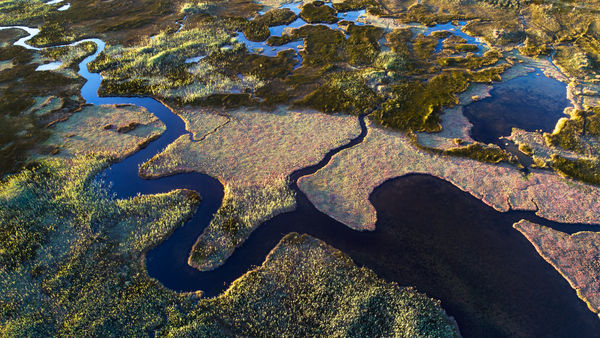 Fények és kanyarulatok