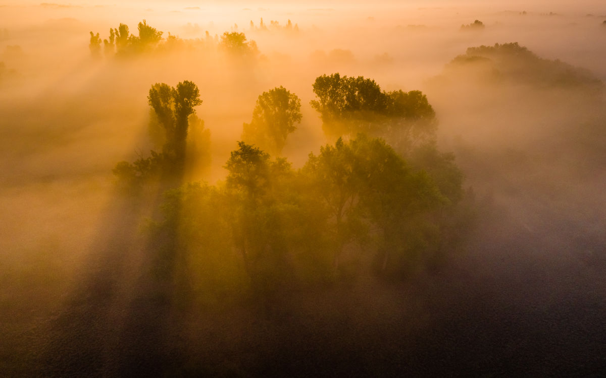 Szakolczai Krisztina