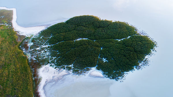 Félsziget a szikesen