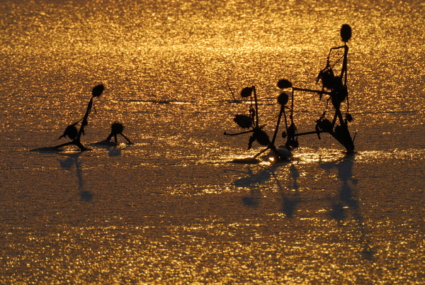 Alkonyi tömegbaleset