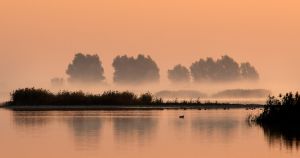 Hajnali hangulat Hajnali hangulat