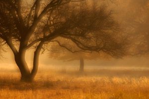 Köd előttem köd utánam Köd előttem köd utánam