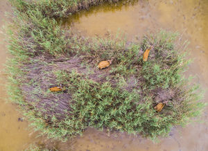 Pihenjetek csak tovább... Pihenjetek csak tovább...