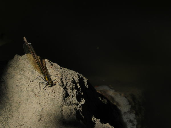 Más megvilágításban