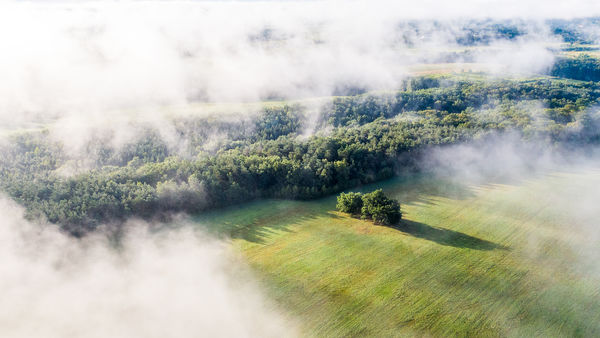 Ködös őrségi reggel