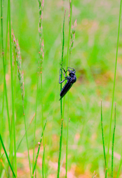 Csak üldögélek itt
