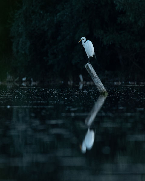 Tükröm, tükröm...