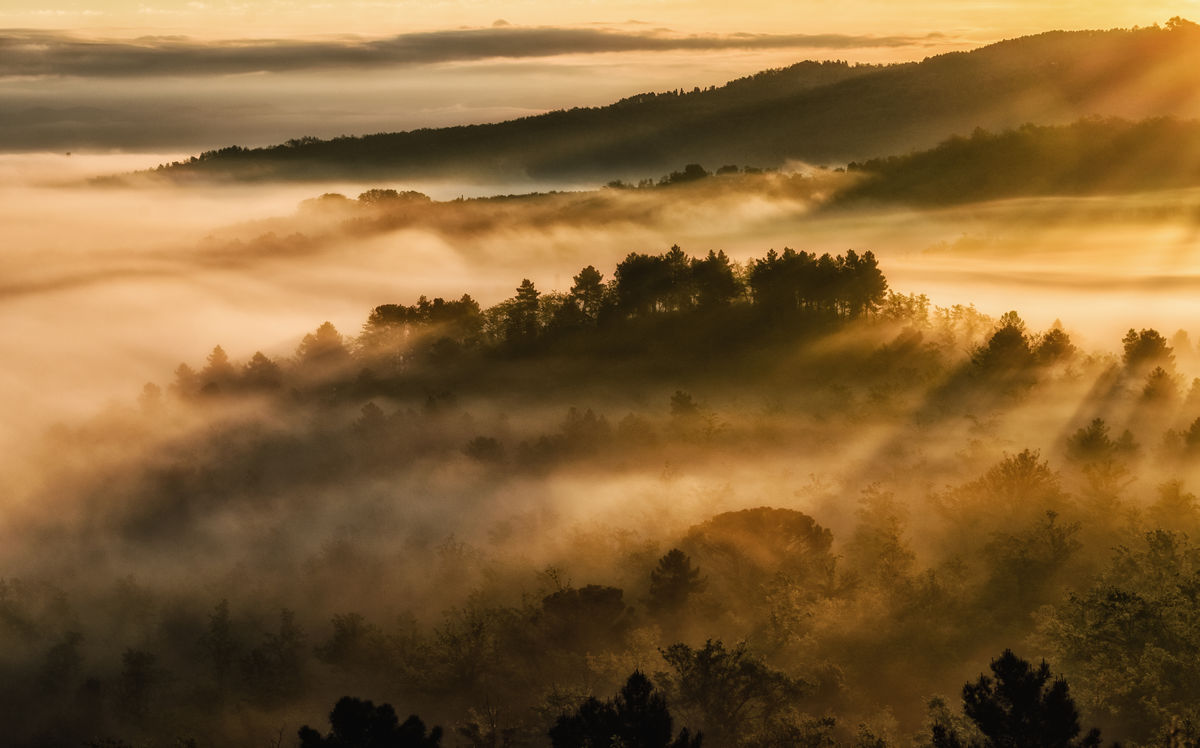 Szakolczai Krisztina