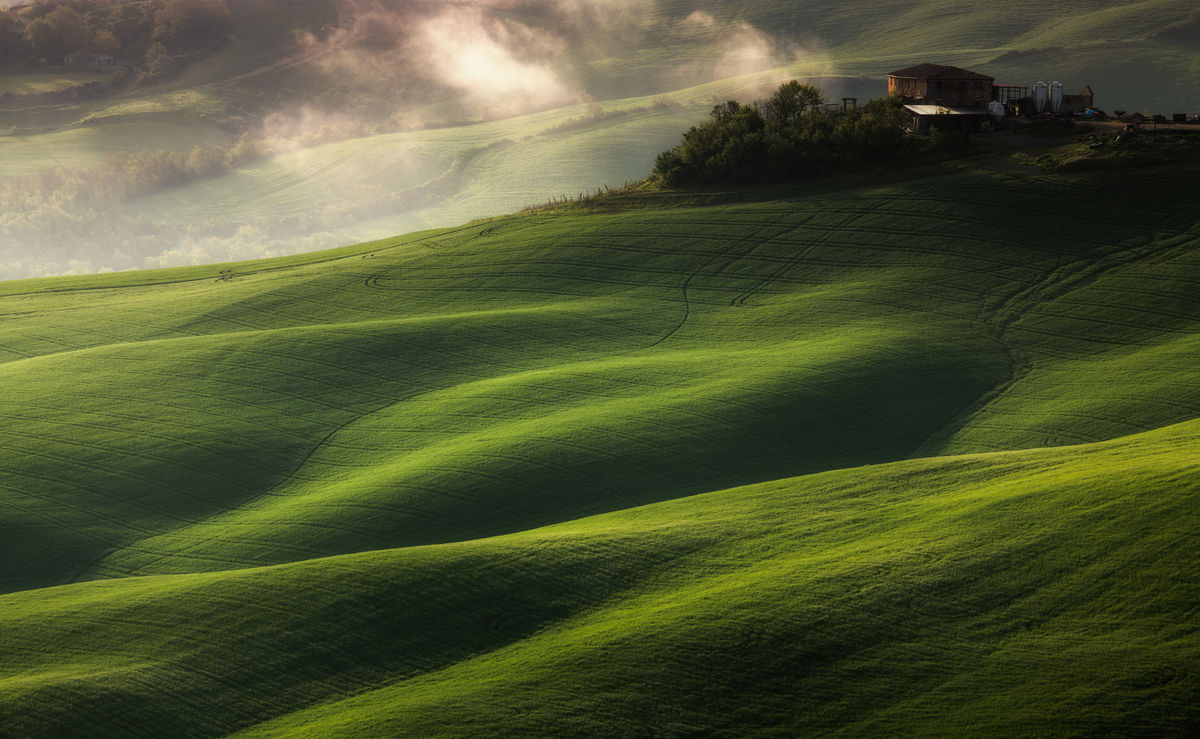 Szakolczai Krisztina