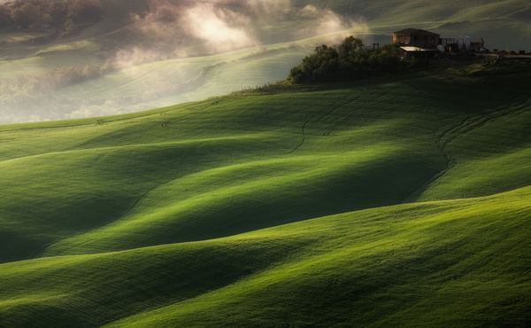 Zöld bársony domboldal