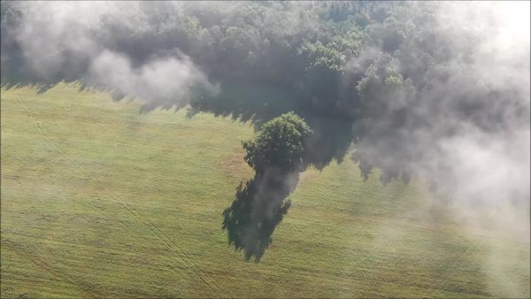 Őrségi ködös reggel