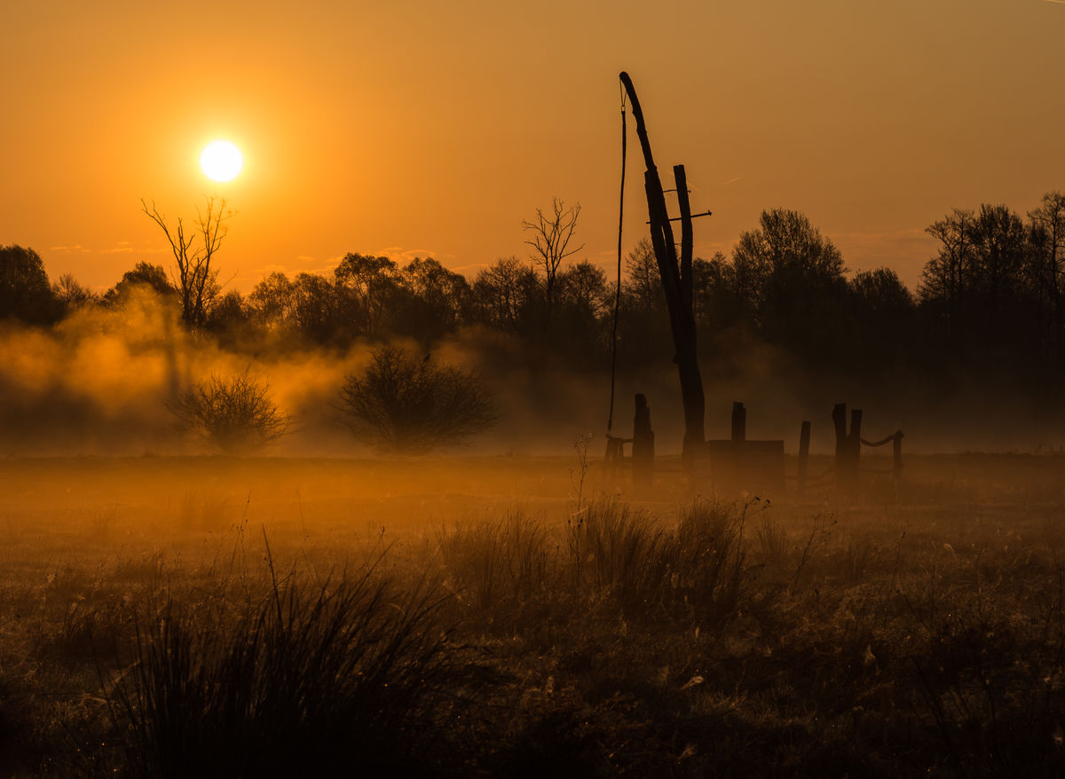 Szakolczai Krisztina