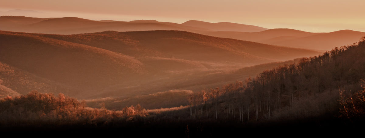 Gyenti-Kálvin Kinga