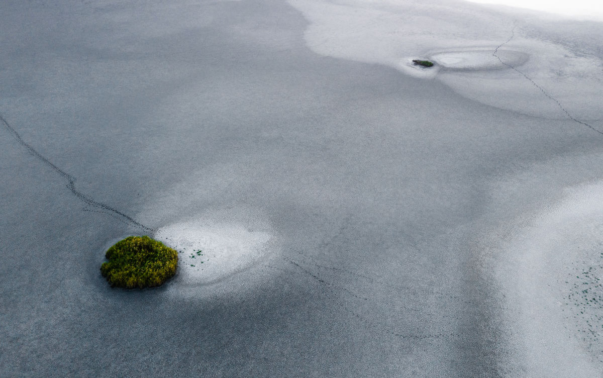 Szakolczai Krisztina