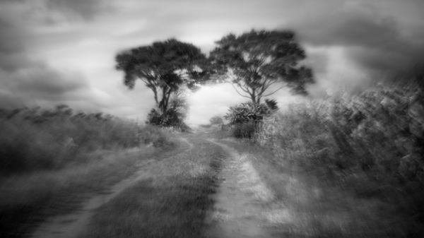 A Mennyország kapujában