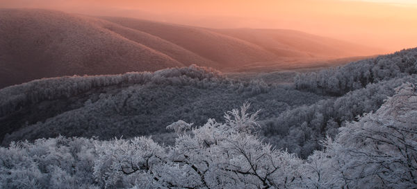 Az Apokalipszis után