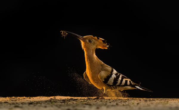 Csak rúgom a port...
