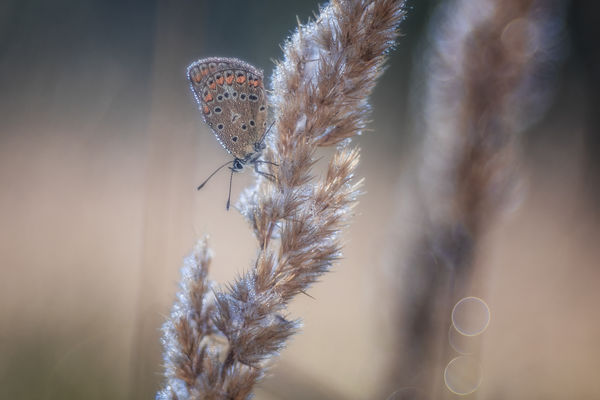 A természet lágy ölén