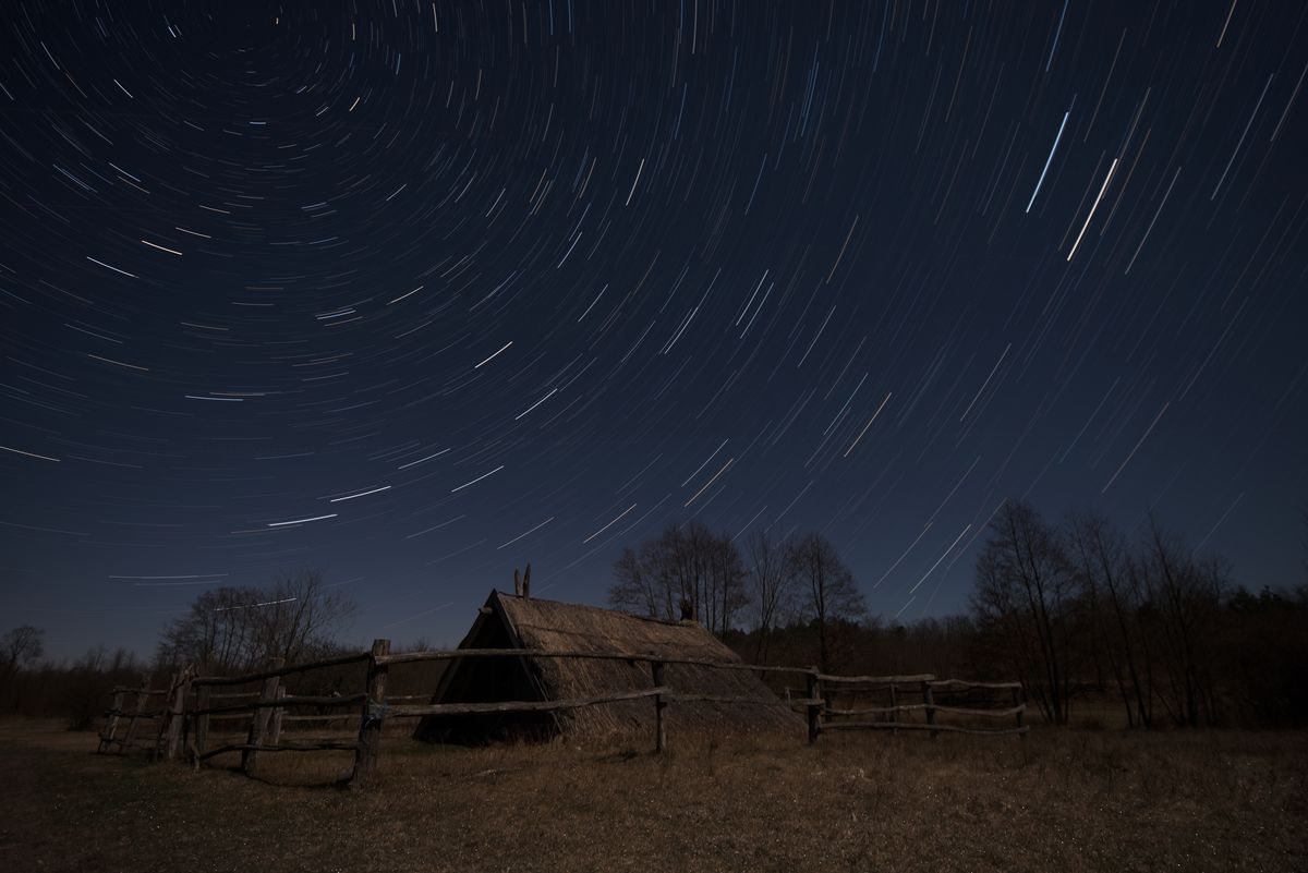 Szakolczai Krisztina