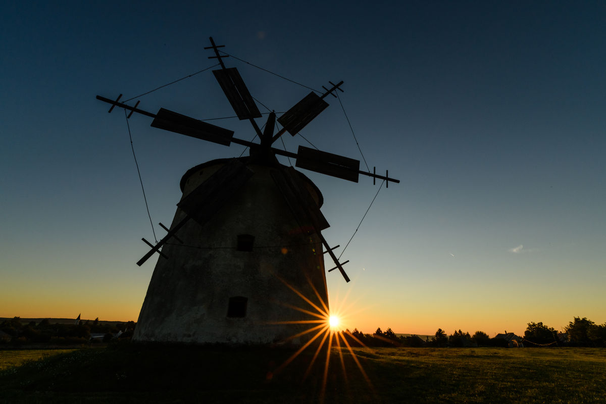 Szakolczai Krisztina