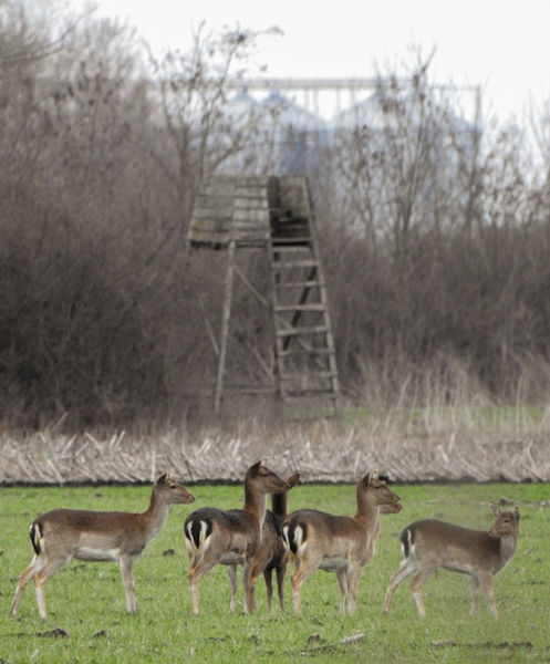 "Ez (még) a miénk."