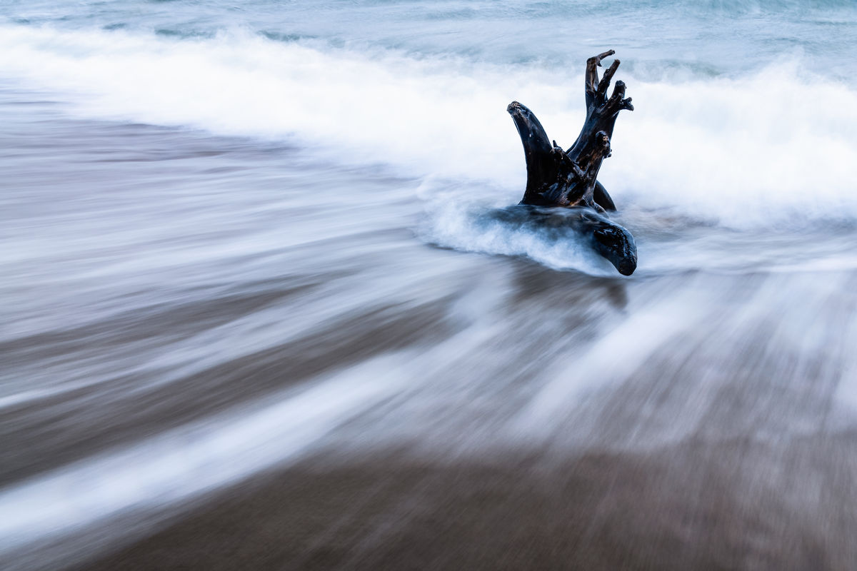 Szakolczai Krisztina