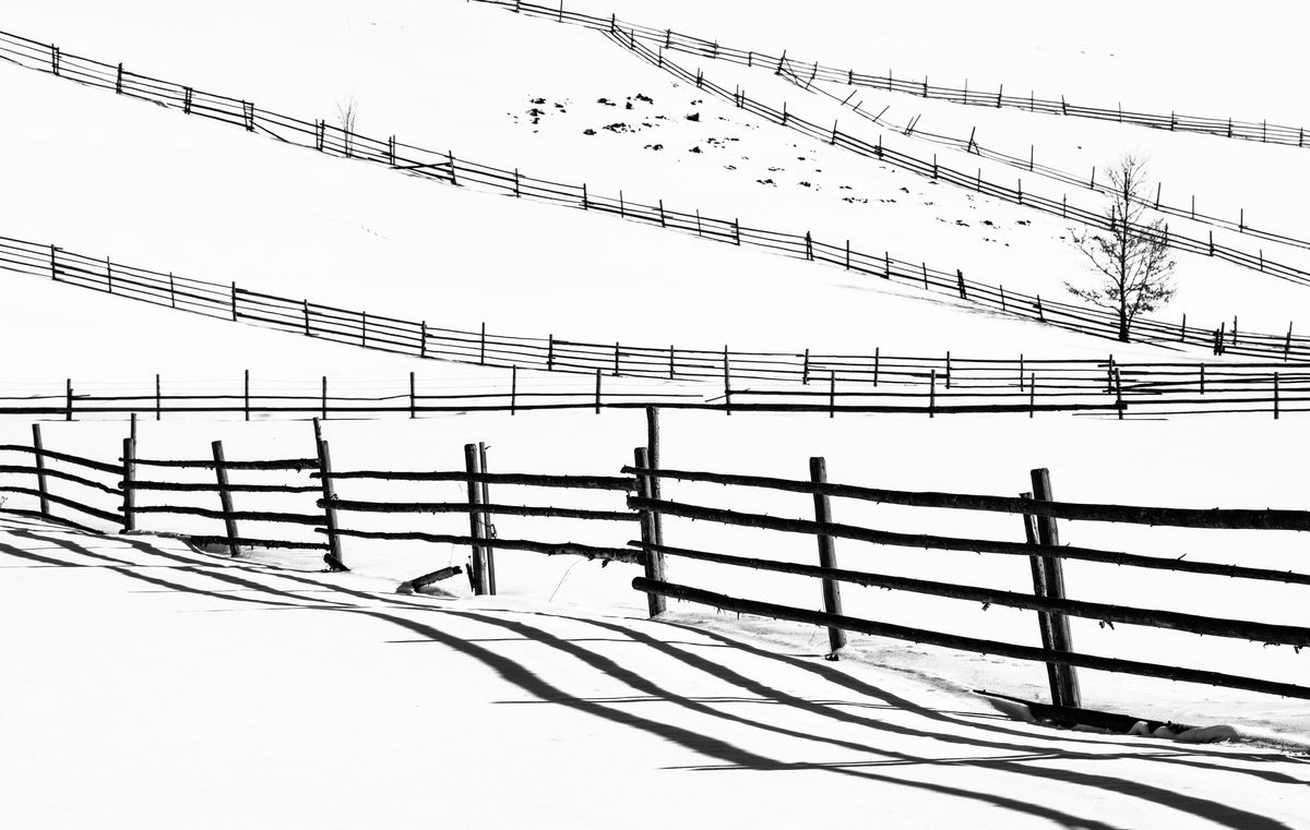 Szakolczai Krisztina