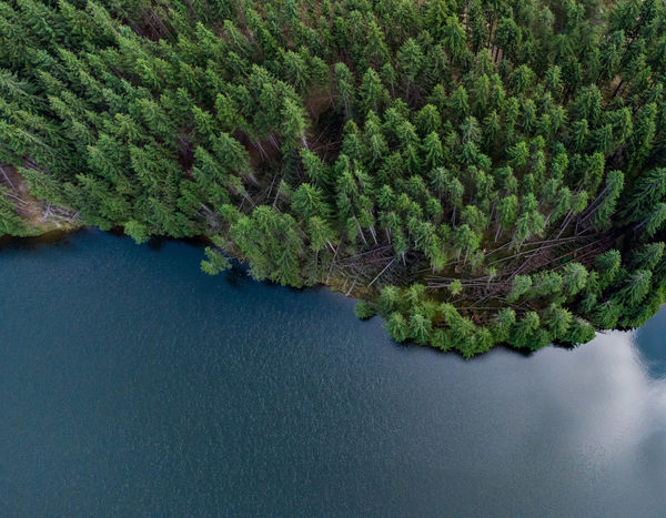 Dominó, avagy vihar utáni állapotok