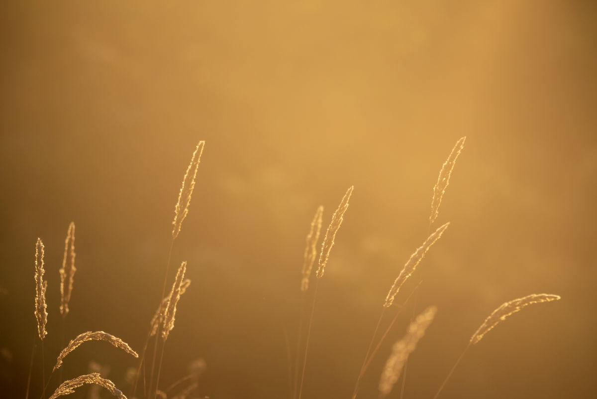 Benke Péter Valentin