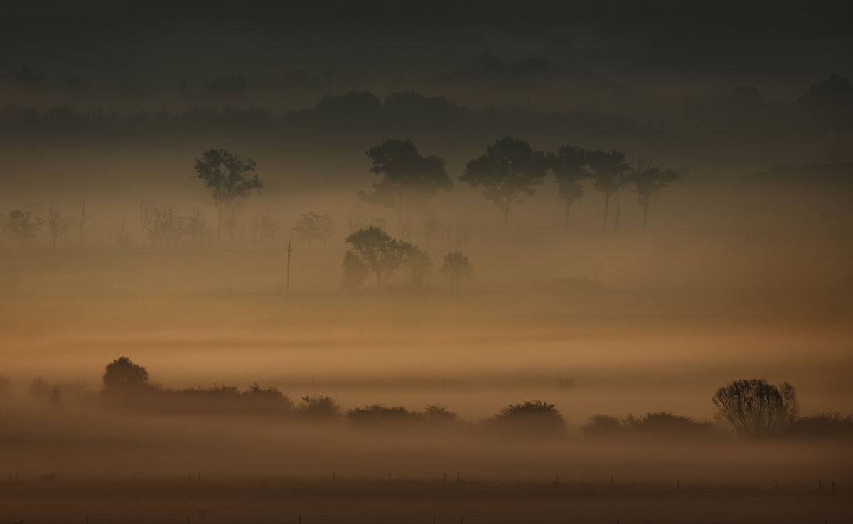 Gyenti-Kálvin Kinga
