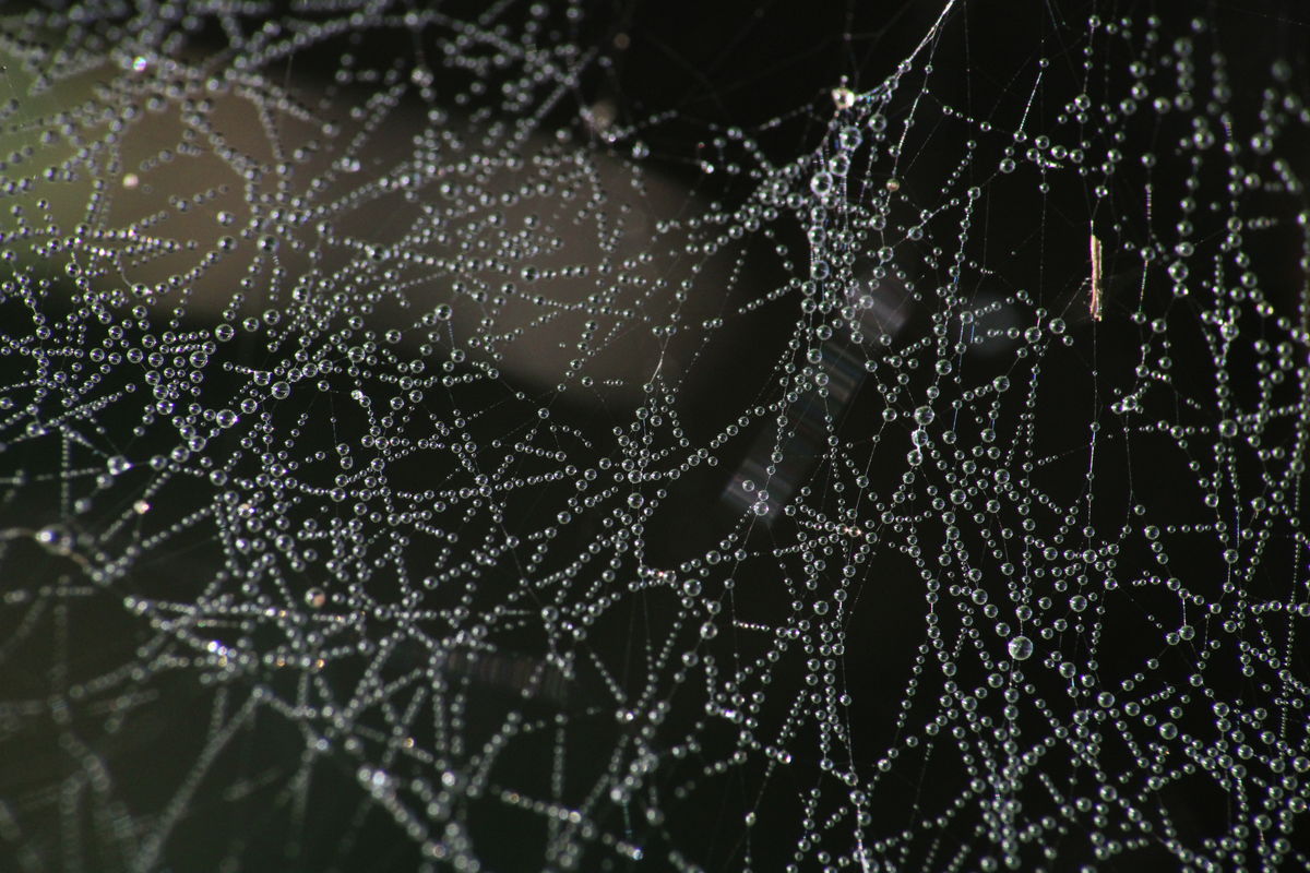 Seres Ádám Zoltán