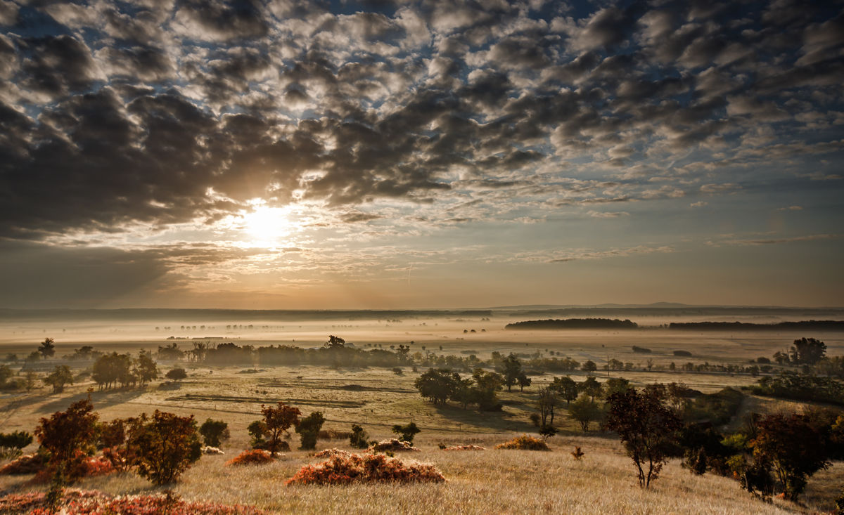 Gyenti-Kálvin Kinga