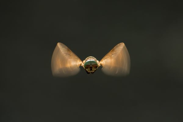 Borostyán szárnyak