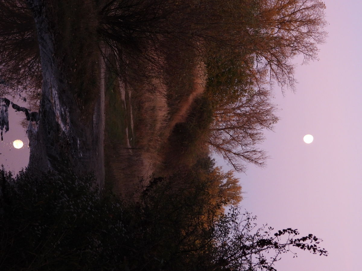 Kónya Máté Bertalan