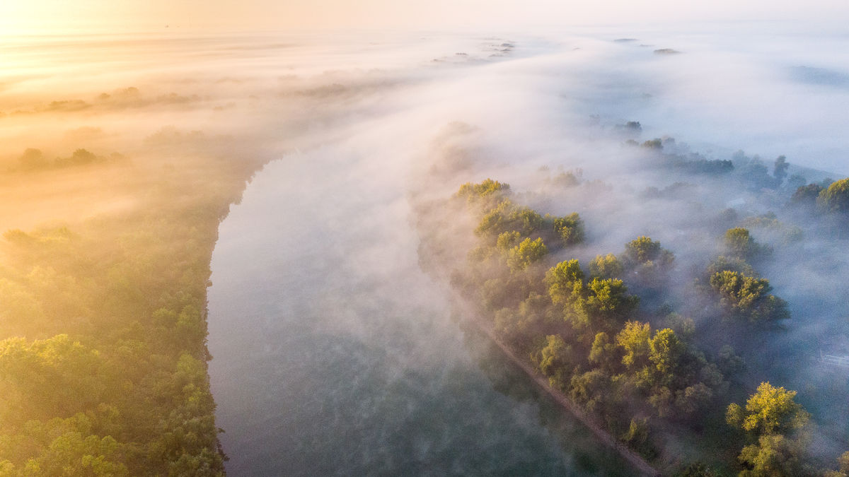 Koncz-Bisztricz Tamás