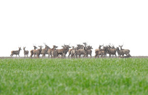 Egységben az erő Egységben az erő