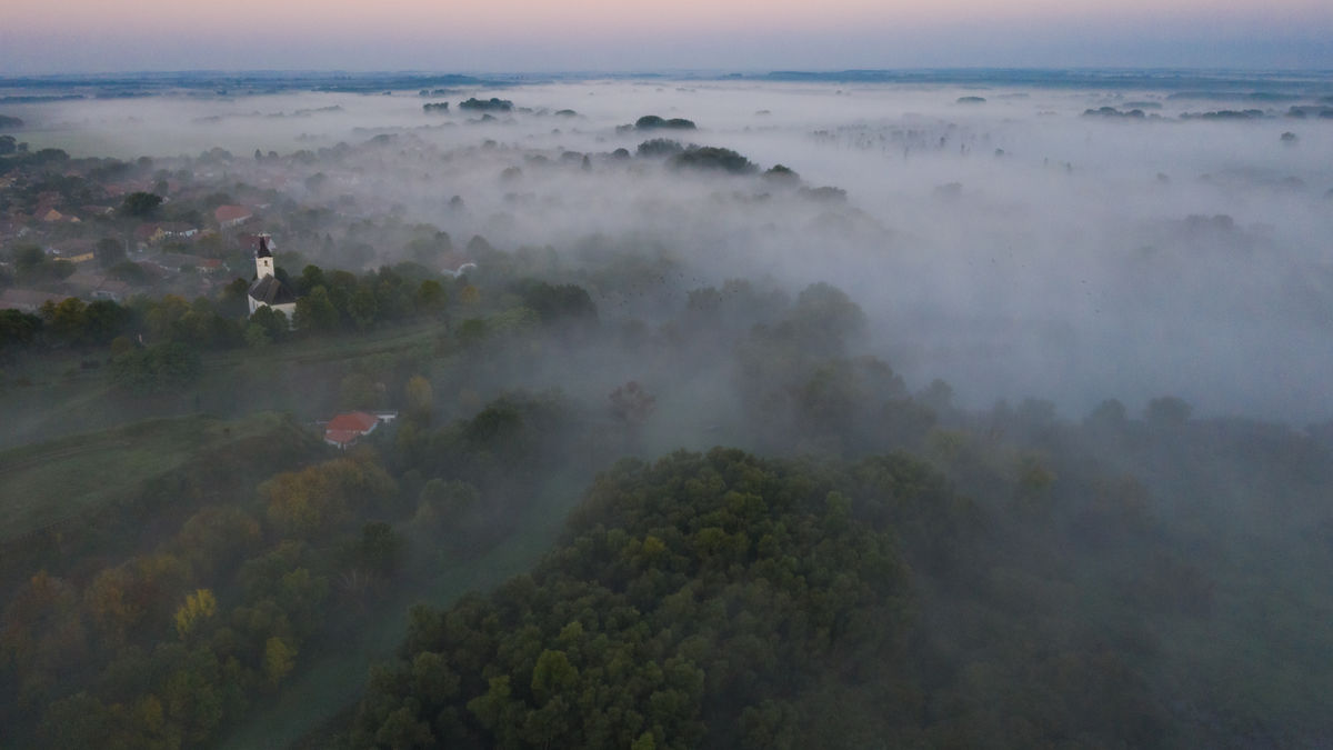Szakolczai Krisztina