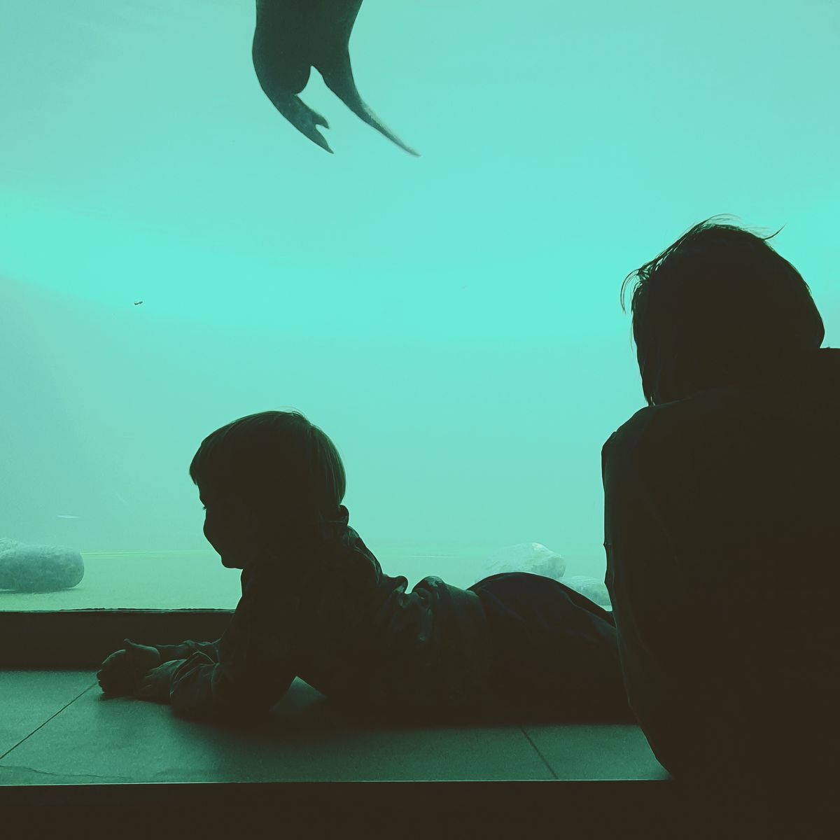 Kocsis-Hollai Eszter Glória