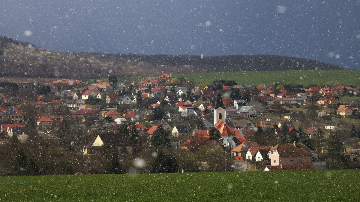 Körmendy Zizi