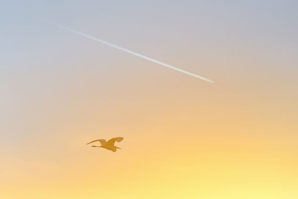 Egy irányba tartunk