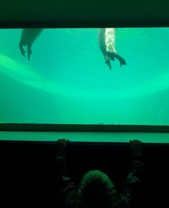 Látni akarlak! Látni akarlak!