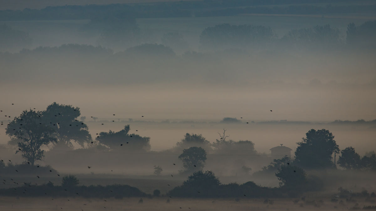 Gyenti-Kálvin Kinga