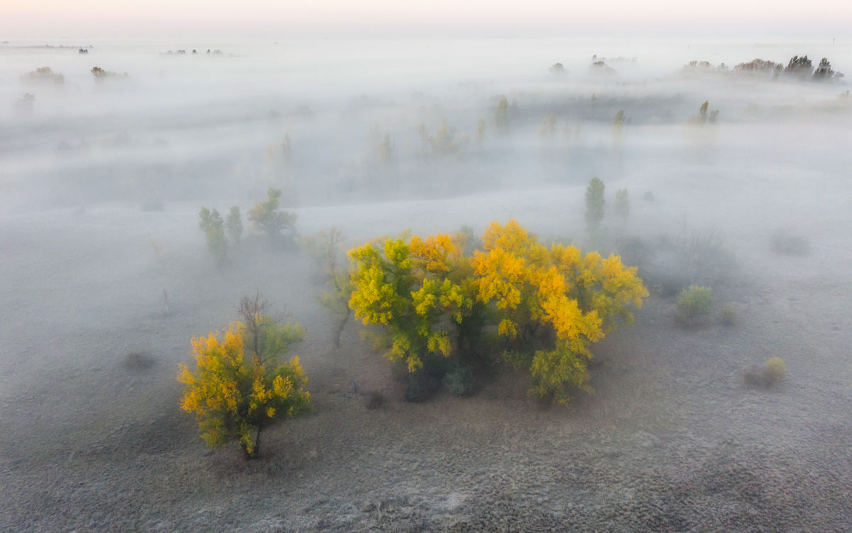 Szakolczai Krisztina